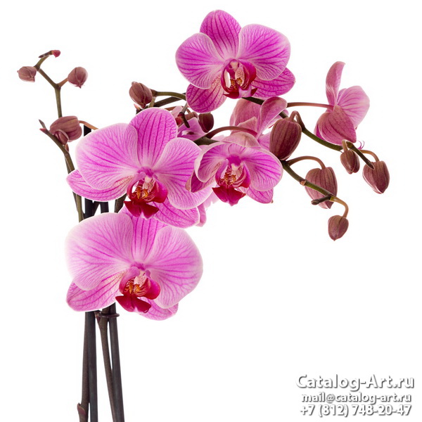 Натяжные потолки с фотопечатью - Розовые орхидеи 107